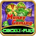 all cricket Gaming Plus