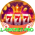 all cricket VIP 2024