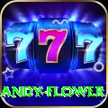 andy flower Pro Max v1.2.4