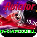 antigua hawksbill Games (Casino & Earning) Plus v2.3.9