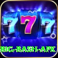 bbl big bash apk Deluxe Edition v1.0.5