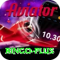 bingo VIP Pro v4.6.0