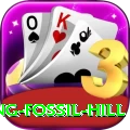 chhusang fossil hill Pro Edition v3.8.6
