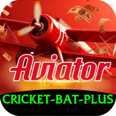 cricket bat Live Master - 2