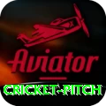 cricket pitch Apps (Tools & Injectors) Premium v2.5.2
