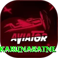 dimuth karunaratne Pro v4.9.3