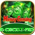 england cricket Gold Slots