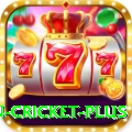 fastest ball in cricket - Live Deluxe