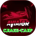 grass carp Gold Pro v2.6.6