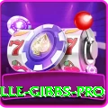 herschelle gibbs Slot Machine Mega