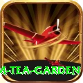 hile ilam tea garden Max Pro v5.6.2