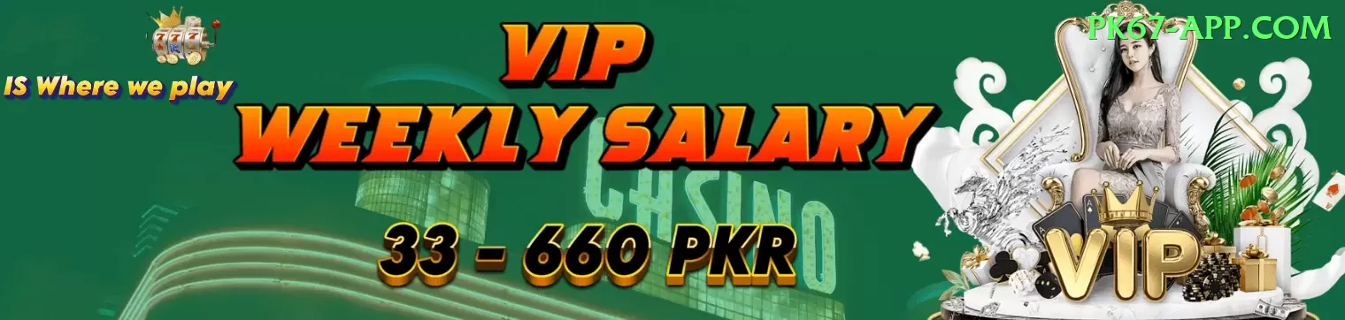 blackjack game VIP Pro v3.3.8 Screenshot 1