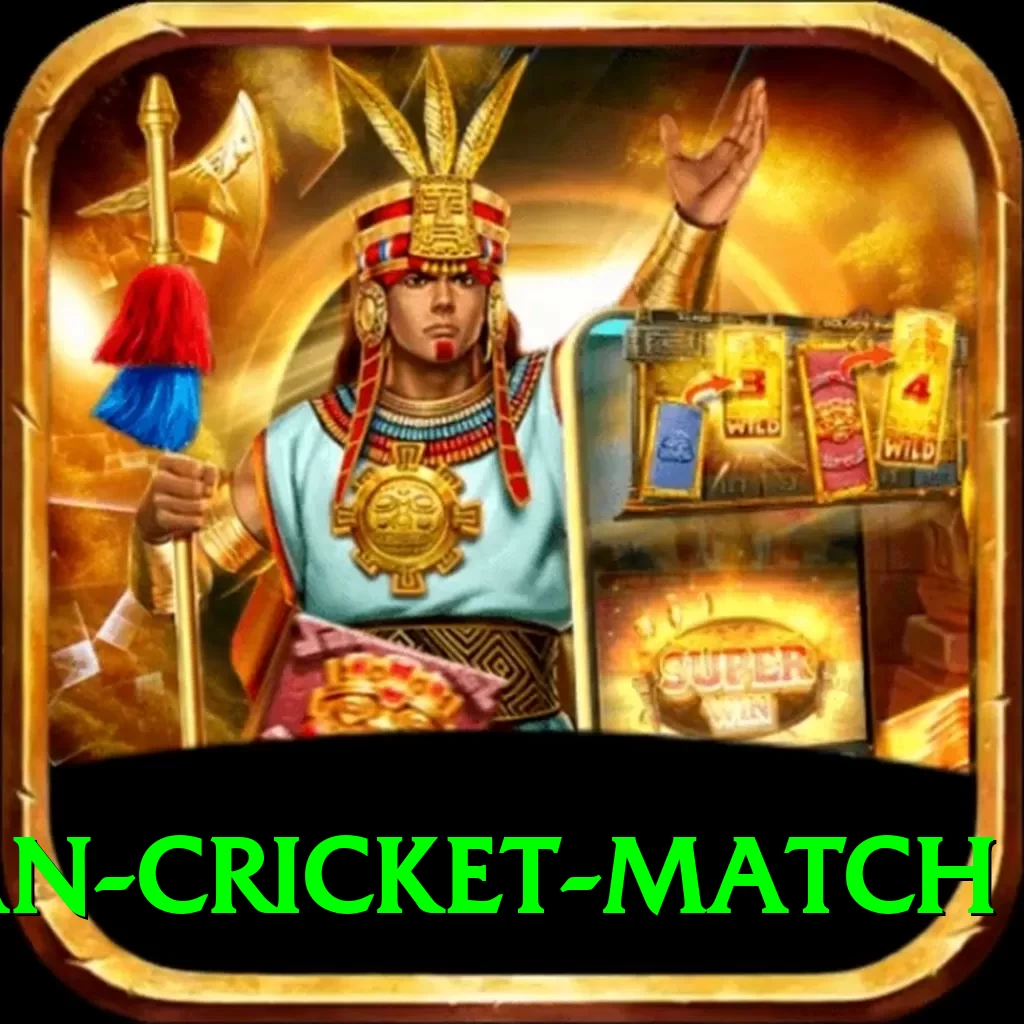india pakistan cricket match Pro Edition v4.3.9 - 2