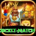 india pakistan cricket match Pro Edition v4.3.9