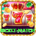 international cricket match Premium v1.6.3