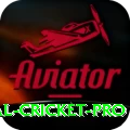 international cricket Prime APK v3.5.0