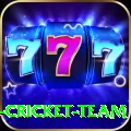 ireland cricket team Gold Edition v2.7.3