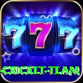 mumbai cricket team Plus v5.4.8