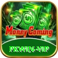 pkwin Elite v5.9.8