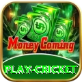 play cricket Master v5.4.0