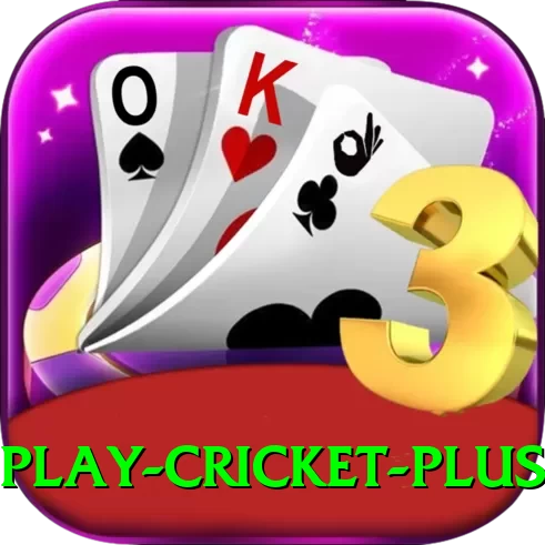 play cricket - Gaming Ultimate - 2