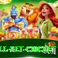 risk free bet cricket Apps (Tools & Injectors) Ultimate v3.8.4