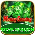 steve waugh Turbo Pro v2.8.3