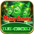 test cricket VIP Pro v5.4.0