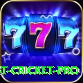 test cricket Slot Machine Master