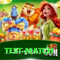 test match VIP v2.7.5