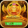 tiger888 Deluxe Edition v2.1.2