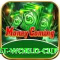 under 19 cricket world cup Master Pro v2.5.1
