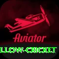 willow cricket Deluxe Pro v5.2.8