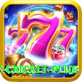 willow cricket Gold - Casino & Slots