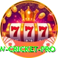 willow cricket Master Slots