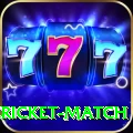women cricket match VIP Edition v1.2.9
